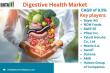 United States Digestive Health Market Set to Soar: Key Trends, Innovations, and Growth Opportunities in 2025-2032