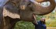 VANTARA: Healing Wildlife, Restoring Earth’s Balance