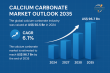 Calcium Carbonate Market Outlook Highlights Growth from USD 50.5 Billion in 2024 to USD 96.7 Billion by 2035 - TMR