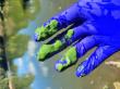 ALLEN FAMILY PHILANTHROPIES AND NATIONAL SCIENCE FOUNDATION AWARDS $10 MILLION FOR MICROORGANISM RESEARCH