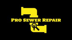 Pro Sewer Repair Logo