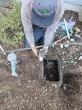 Drain Charmer Plumbing & Rooter, Inc Enhances 24/7 Emergency Plumbing Response for Homeowners in Santa Barbara