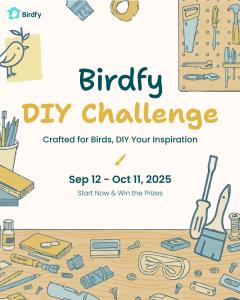 Birdfy DIY Challenge