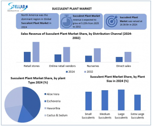 The Succulent Plant Market to rise from USD 10 Succulent Plant Market