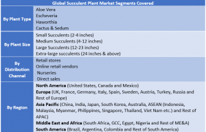 Succulent Plant Market Segment