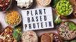 Plant Proteins Market Growth Driven by Rising Demand for Sustainable Nutrition | DataM Intelligence