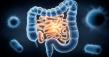 LogsDay Features Advances in Microbiome-Sparing Antibiotics for Safer, Smarter Treatment