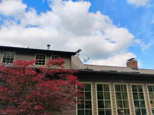 Starlink roof mount install