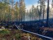 Greek Partner Driving the Adoption of PPO® ForExt – A Finnish Sustainable Solution for Fighting Forest Fires 