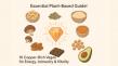 LogsDay Brings Top Vegan Sources of Copper and Easy Plant-Based Recipes for Daily Nutrition