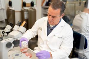 Abbruscato lab