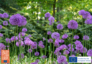 Image of deer-resistant bulbs