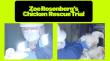 UnchainedTV Launches LIVE Coverage of the Chicken Rescue Trial of DxE's Zoe Rosenberg