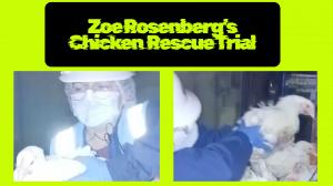 UnchainedTV: Zoe Rosenberg's Chicken Rescue Trial