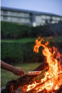 Bonfire nights