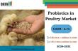 Probiotics in Poultry Market to Hit $1,387.5 Million by 2031 at 5.1% CAGR, Driven by Antibiotic-Free Demand