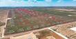 Momentum Real Estate Group Launches Major Rural Land Subdivision Project in Stanton, Texas