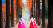 From Hangeul to Higher Education: Korea Welcomes the World with 'Your Future is Korea'
