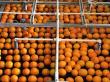 All-natural fungicides for produce growers moving ahead as Akorn Technology wins NSF grant to replace synthetic products
