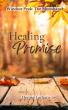 'Healing Promise' Marks Denise Latham’s 8th Book in 2 Years — Celebrated with Exclusive Pre-Release Signing Event