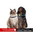 Tickless Mini by Andras Oravecz - Remion Design Ltd. Wins Platinum in A' Pet and Animal Product Awards