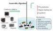 Conductive Additives Unlock New Potential in Biogas Production