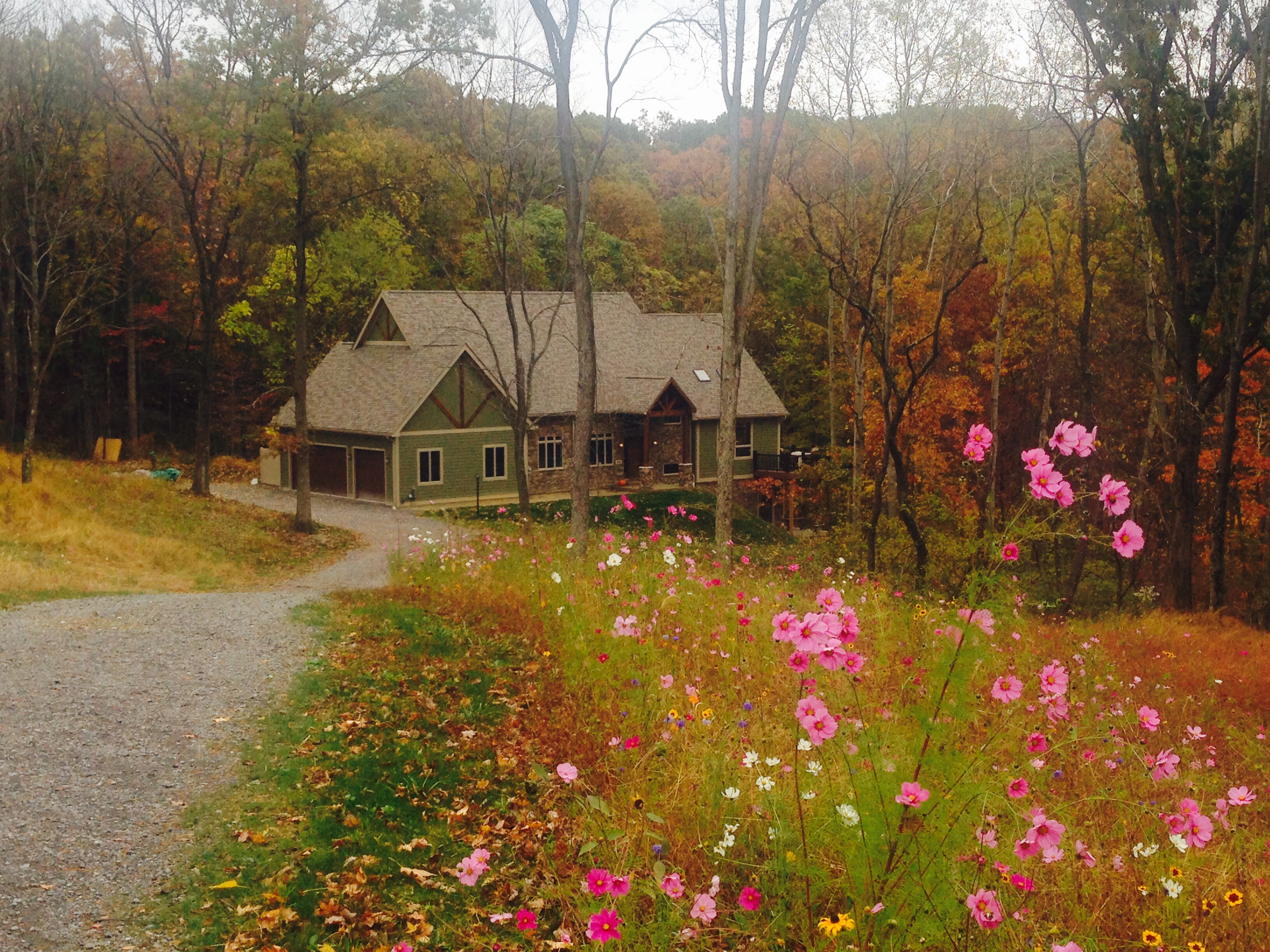 When to Plant Wildflower Seeds This Fall: American Meadows Experts Break Down the Timing by Zone