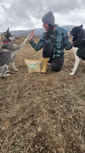 A woman in a beanie and plaid jacket kneels on tilled ground, high-fiving a gray-and-white husky while a black-and-white dog stands beside her. An American Meadows seed bag and tan boots sit in front of her, with snow-dusted hills behind.