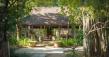 Treehouse Thailand Launches First Dedicated Treatment Program for Etomidate (K-Pods) Addiction