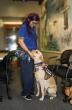 Healing Paws for Warriors Shares Service Dog Etiquette Tips for National Service Dog Month