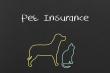 Pet Insurance Market Growth Driven by Rising Pet Ownership & Veterinary Care Costs | DataM Intelligence