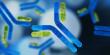 Next Generation Antibody Therapeutics Market Size to Double, Hitting USD 5.28 Billion by 2033 | By DataM Intelligence