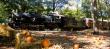 The Great Pumpkin Train Comes To Phillipsburg New Jersey Starting October 4th. A Free Pumpkin For Every Child