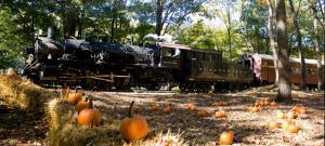 23782253 train at patch