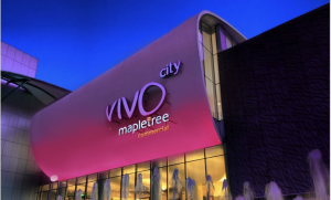 Vivo City
