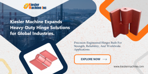Heavy Duty Hinges