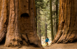 Vancouver Civic Theatres Announces 2025/26 National Geographic Live Speaker Series Season at the Vancouver Playhouse