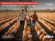 Funfull Ushers in Fall with Halloween Thrills and Year-Round Family Fun in Delmarva