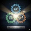 seowerk offers Generative Engine Optimization (GEO), SEO, and PR expertise to US companies targeting European markets
