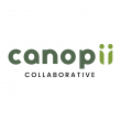 Canopii Collaborative Expands Into Provider Revenue Cycle Services Through Anchor Healthcare Consultants Acquisition