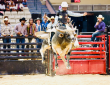 The BPIR 2025 National Championship Finals cemented its legacy as ‘The Greatest Show on Dirt!’