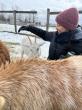 Southeast Michigan Trauma Treatment Center Expands Services with EMDR Intensives and Animal-Assisted Therapy