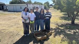 Peaches collection drive at the Canciamilla Ranch