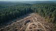 82% of Net Zero Targets Lack Verification as Scope 3 Data Emerges as Corporate Climate Battleground 