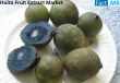 Huito Fruit Extract Market is Expected to Reach USD 46.9 million by 2035 | FactMR Report