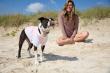 BloqUV and Humane Society of Greater Miami Partner for Sun Safety and Pet Adoption Campaign in October