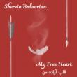 Iranian-Born Sound Healer Shervin Boloorian Creates New Peace Song in Persian and English: 'My Free Heart'