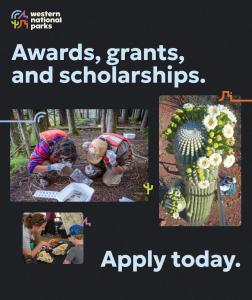 WNP Awards, Grants, and Scholarships