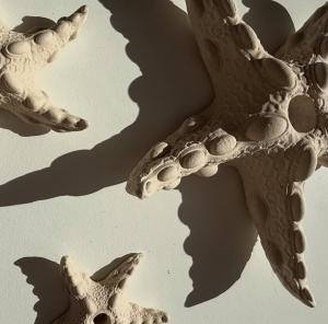 Ceramic substrates for coral larval propagation © Mara G. Haseltine