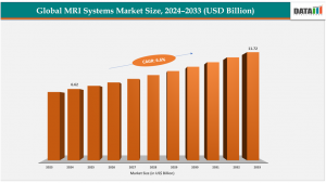 Market Size
According to the DataM Intelligence: The global MRI systems market size was valued as US$ 6 MRI Systems Market